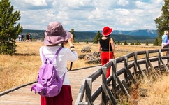 无人区码卡二卡1卡2卡动漫